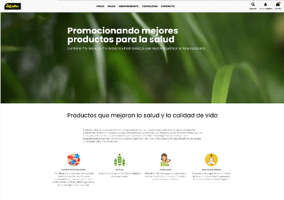 Creación de Sitio web y Diseño Tienda Online - Webseitengestaltung