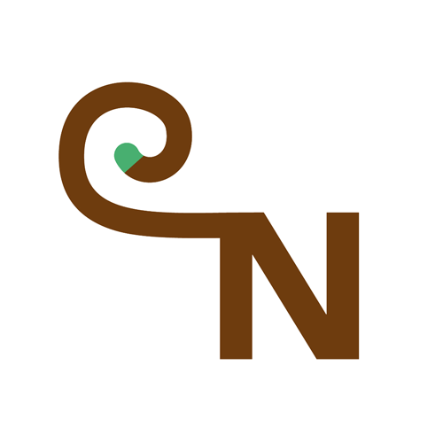 The Monkey Network