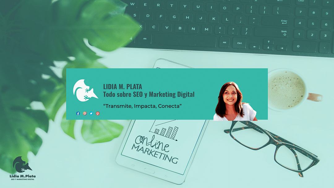 Lidiamplata Consultora SEO y Marketing Digital cover