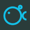 Bluefish - Diseño Web Y Branding logo