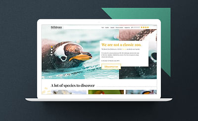 Modernes Webdesign für einen Tierpark - Webseitengestaltung