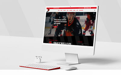 Saale Bulls - Eishockey-Cracks im World Wide Web - Creación de Sitios Web