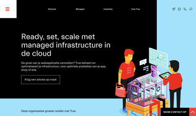 B2B Wordpress website & Online marketing True.nl - Website Creatie