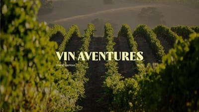 Identité Graphique pour Vin Aventure - Identité Graphique