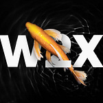 W2XLabs