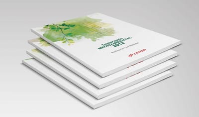 Diseño editorial para Cepsa - Graphic Design