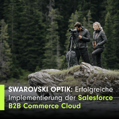 Umsatzsteigerung dank B2B Commerce Cloud - Webseitengestaltung
