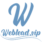 weblead.vip logo