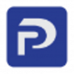 Pasquesi Partners LLC