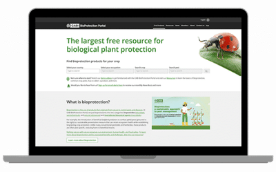 Driving International Growth for the BioProtection Portal - Digitale Strategie
