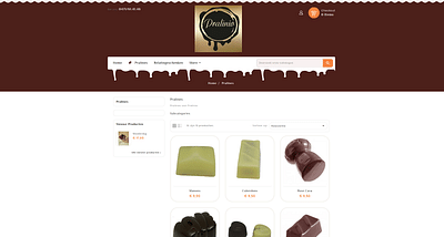 E-commerce toepassing Parlinio - E-commerce