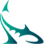 Shark Design