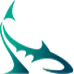 Shark Design