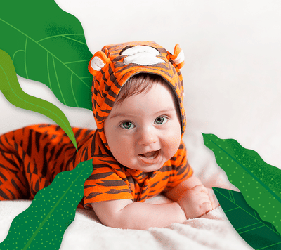 PHOTOS WITH ZEBRAS AND TIGERS - Website Administration