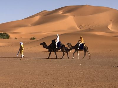 Morocco Desert Tours - Media Planning