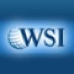 WSI Red México logo
