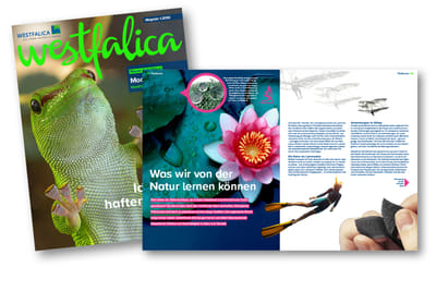 Kundenmagazine „Westfalica“ und „Wir vor Ort“ - Print