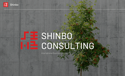 Shinbo consulting | Création de site internet - Website Creatie
