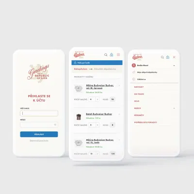 Intranet and B2B Ecommerce Design - Application web