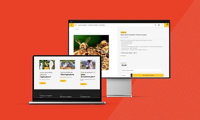 Refonte E-commerce Magento 2 + Hyvä Checkout - Design & graphisme