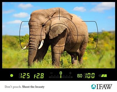 Anti-poaching, Elephant - Publicité