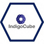 IndigoCube