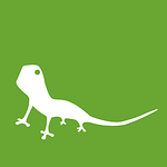 Visual Lizard