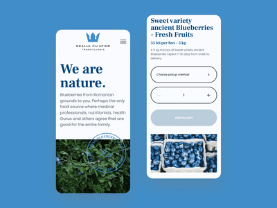 Dealul cu afine - Ecommerce Website Design - Ergonomy (UX/UI)