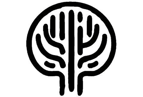 Iroot.es