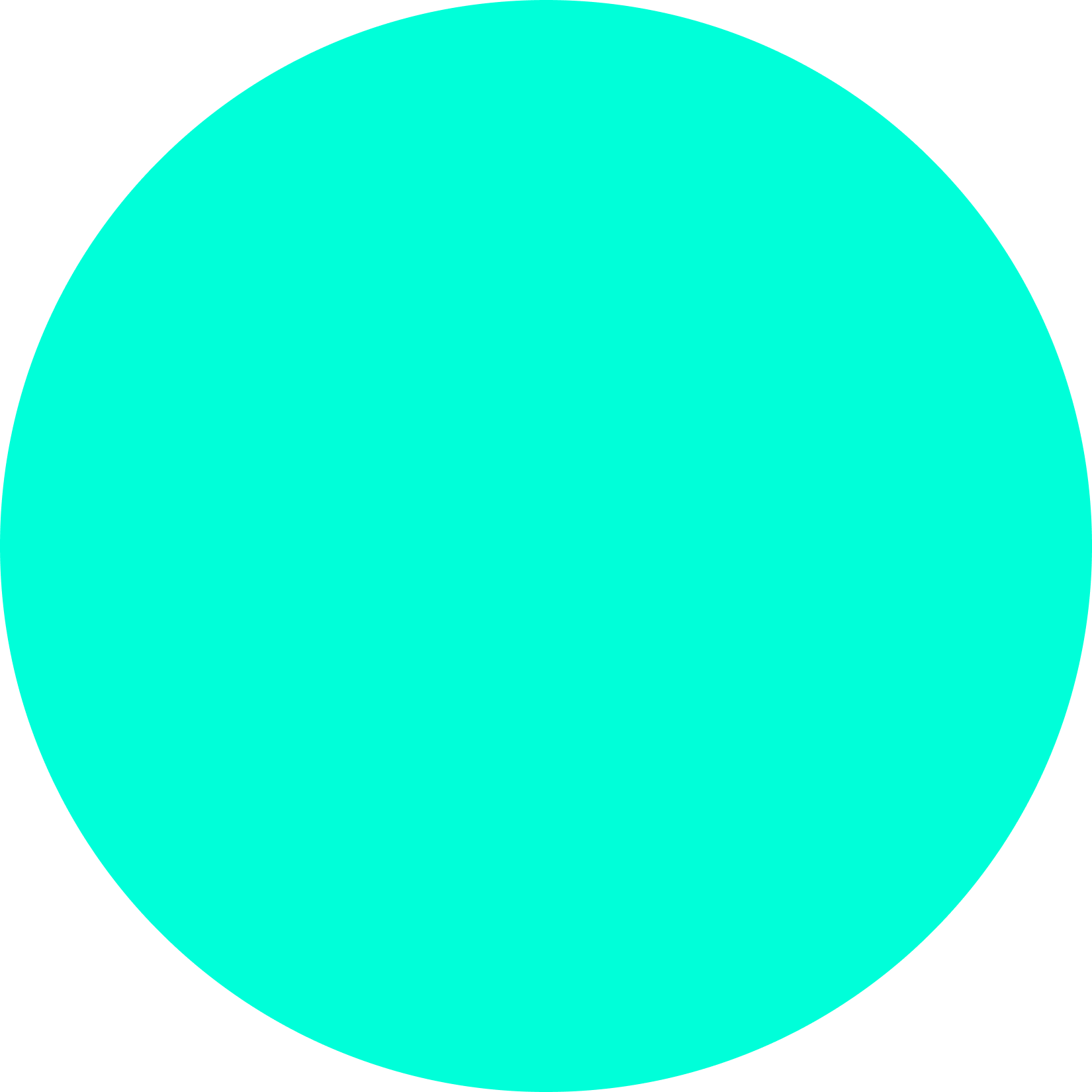 The Loop Collective
