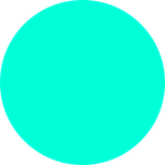 The Loop Collective