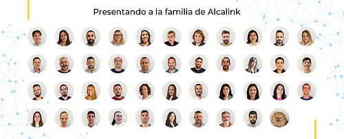 Alcalink eCommerce & Marketing cover