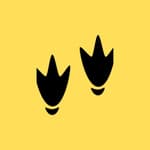 Quack Media logo