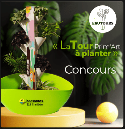 Stratégie digitale - Community Management