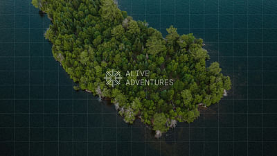 Alive Adventures - Branding & Positioning