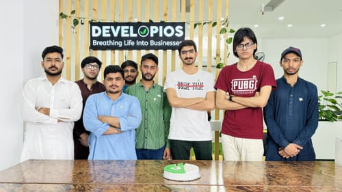 Developios cover