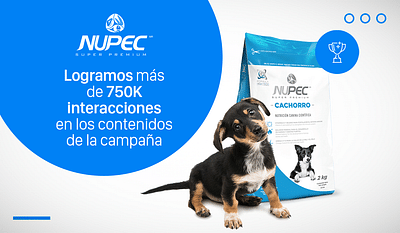 Campaña Nupec - Publicidad Online