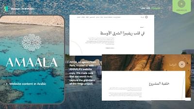 AMAALA | Website Content - Stratégie digitale