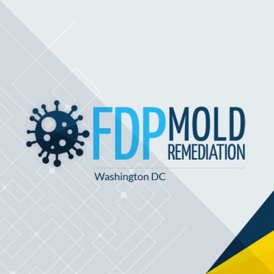 FDPMEDIA
