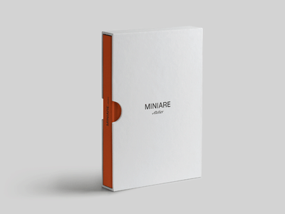 MINIARE - Identidad Gráfica