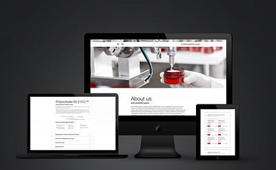 Website für NOF Europe - Grafikdesign