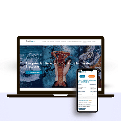 Graphisme plateforme emploi de Breizhmer Emploi - Ergonomie (UX/UI)