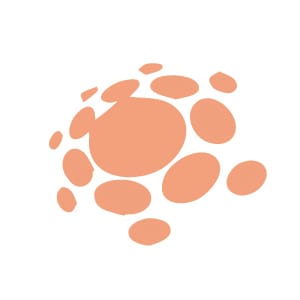 Predictive Analytics on body metrics - Artificial Intelligence