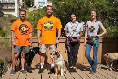 Bolt Dog Training: Google & Instagram Ads - Social Media