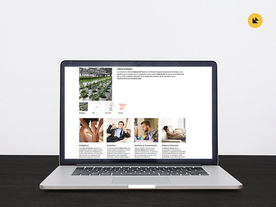 Estrategia digital y Gestión Amazon Seller Central - Estrategia digital