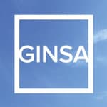 Ginsa Electronic S.L logo