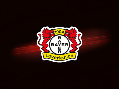 Bayer 04 Leverkusen Corporate Design & Branding - Markenbildung & Positionierung