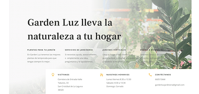 Diseño web para Vivero Garden Luz - Innovación