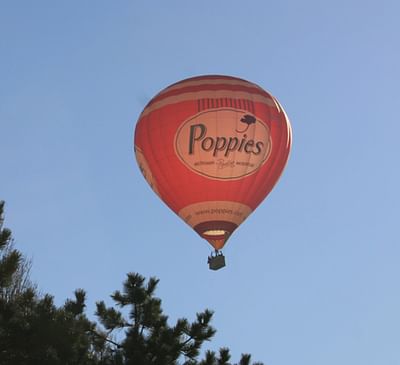 Poppies - Outdoor Advertising