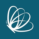 Libellula Studio